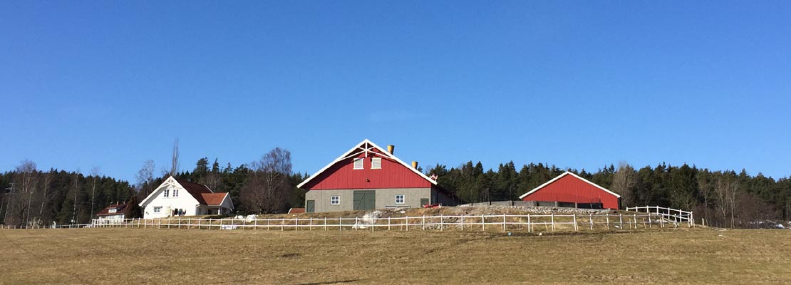 Bjørningstad gård