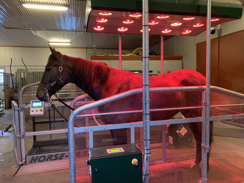 Solarium for hest Image